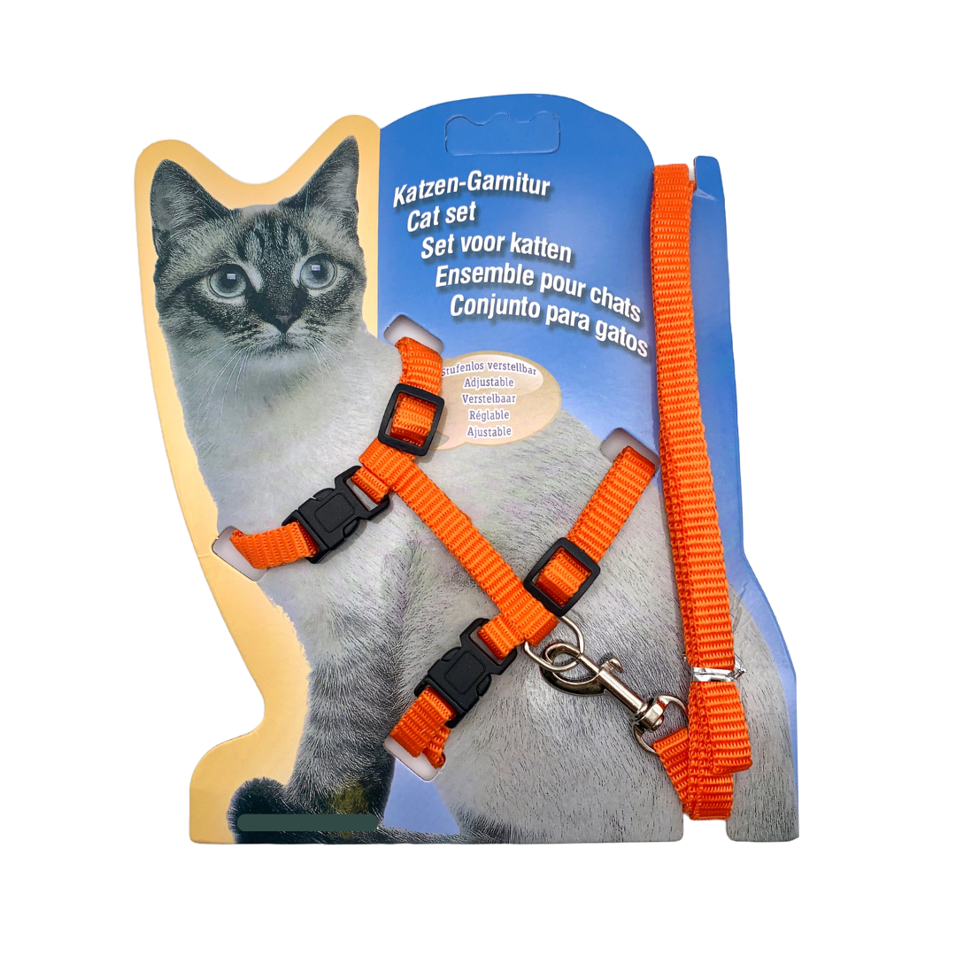 Harness for cat or rabbit