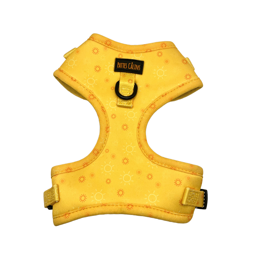 Harnais - Rayons de soleil