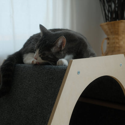 The Hexagone Scratchable Cat House