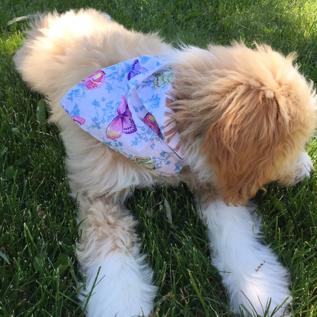 Bandana of The Month Club