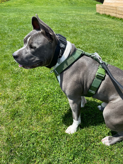 Y Strap Adventure Harness - Cactus Green