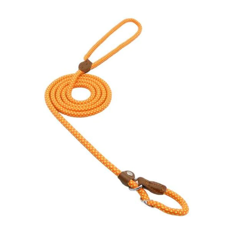 Collar and Leash Set