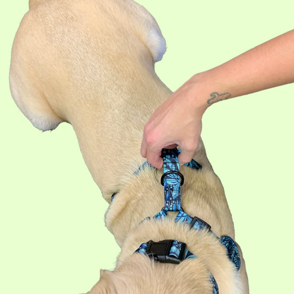 Harnais - Dans la jungle