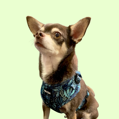 Harnais - Dans la jungle