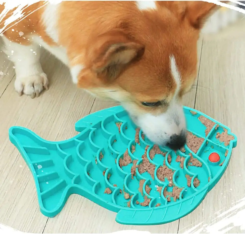 corgi dog and teal lick mat