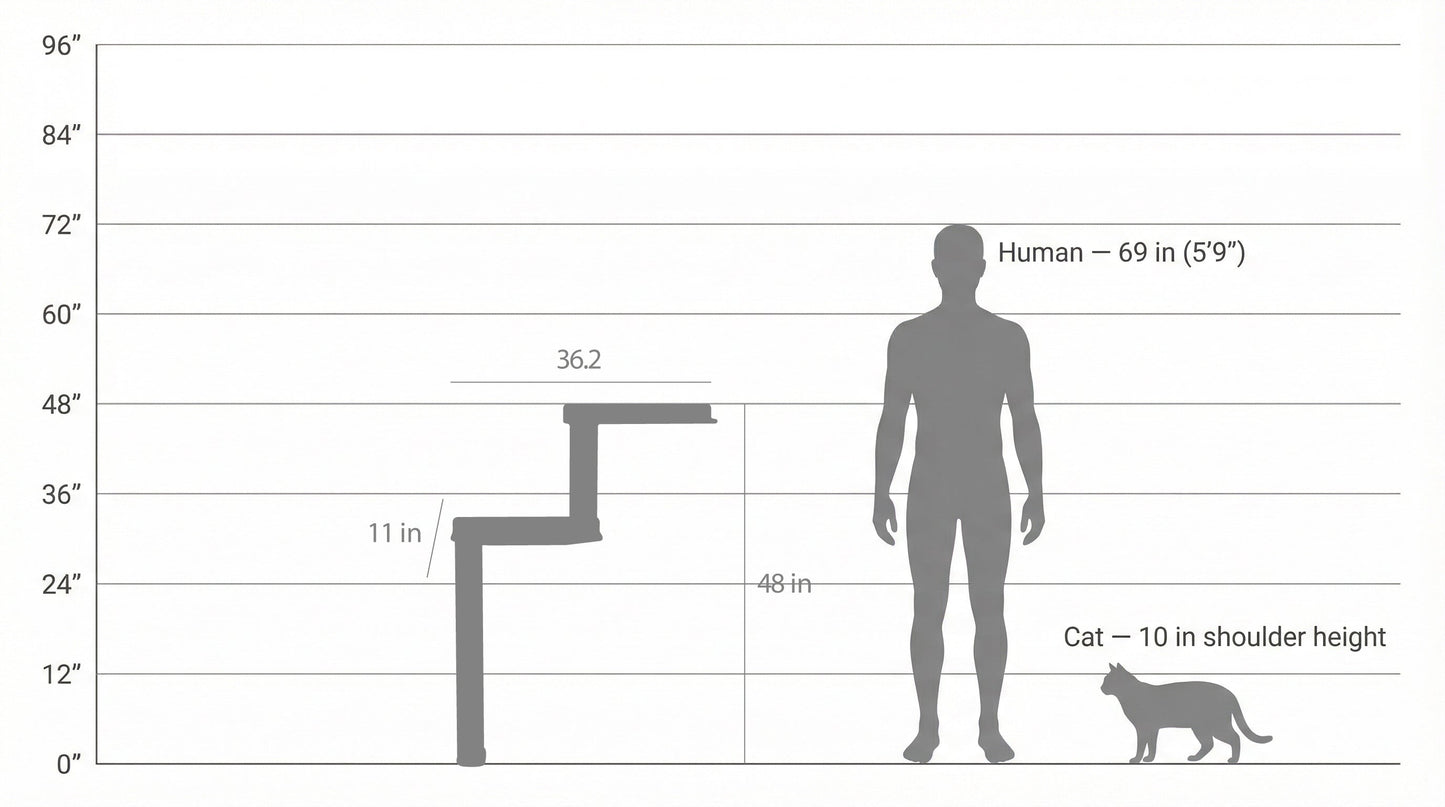 Wall Mounted Cat Scratcher Parkour