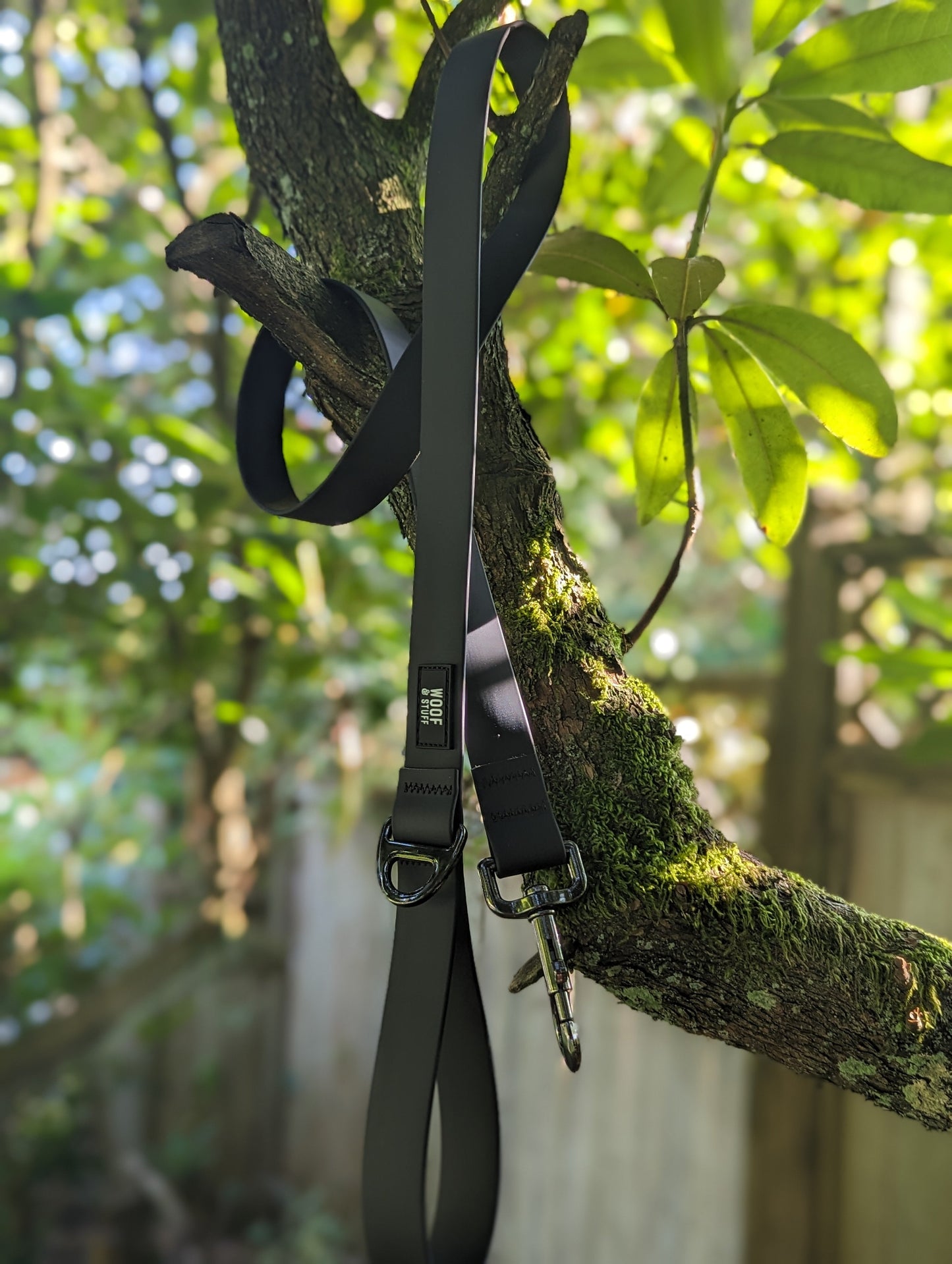 Raven Waterproof Leash