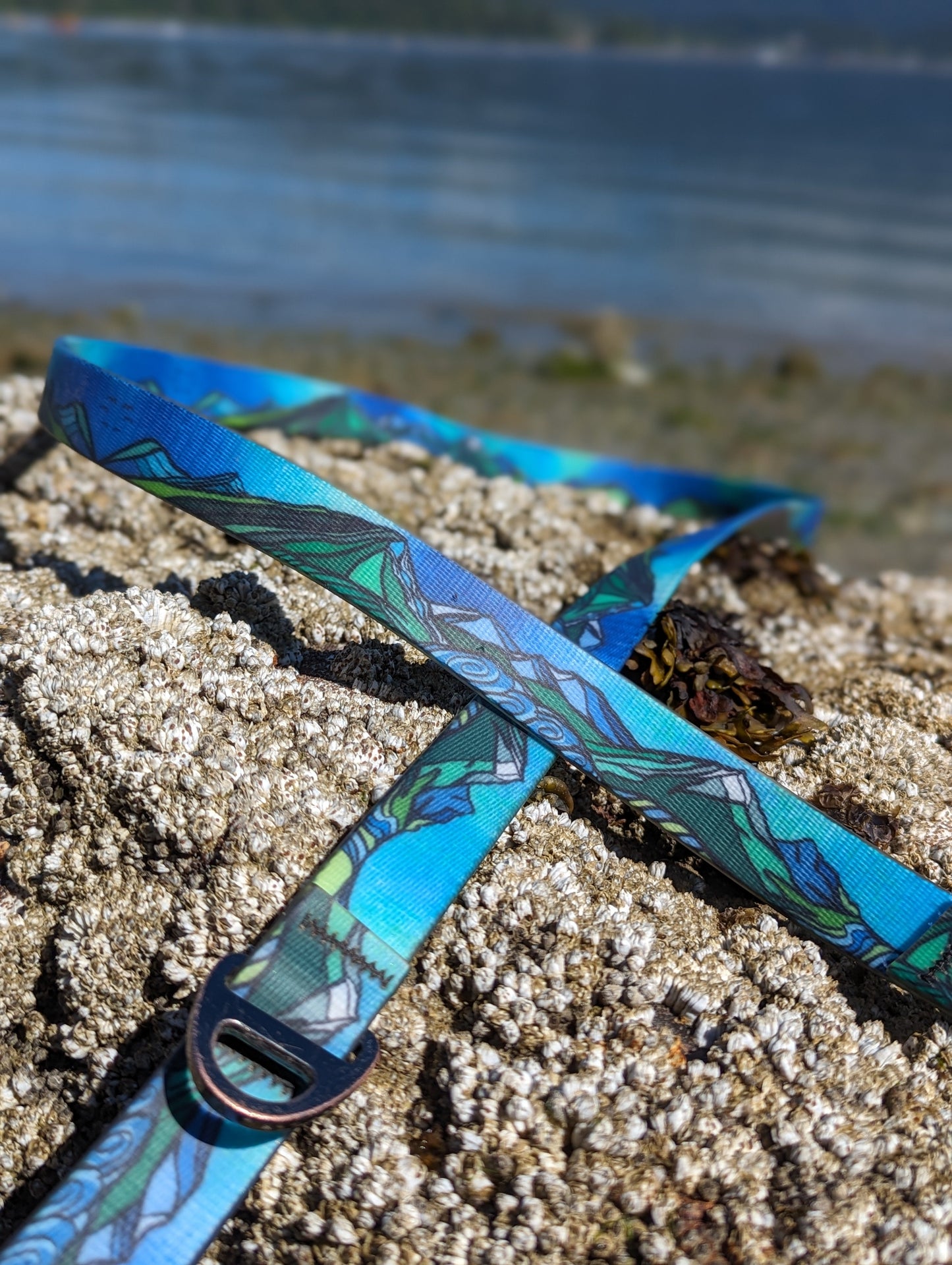 West Coast Waterproof Leash