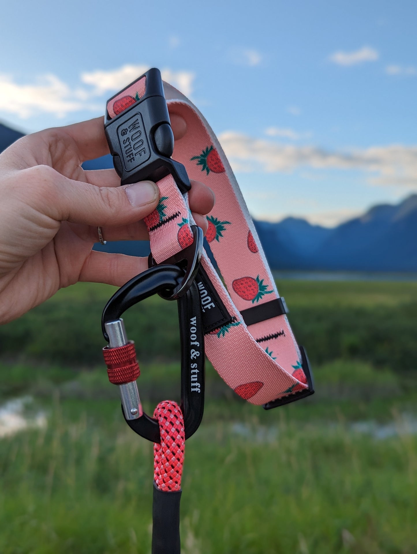 Strawberry Pet Collar
