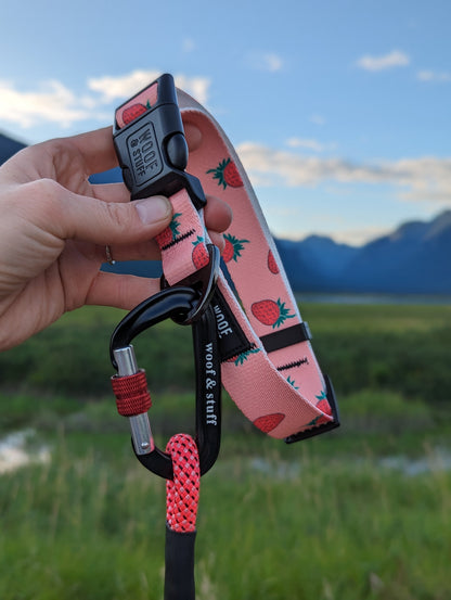 Strawberry Pet Collar