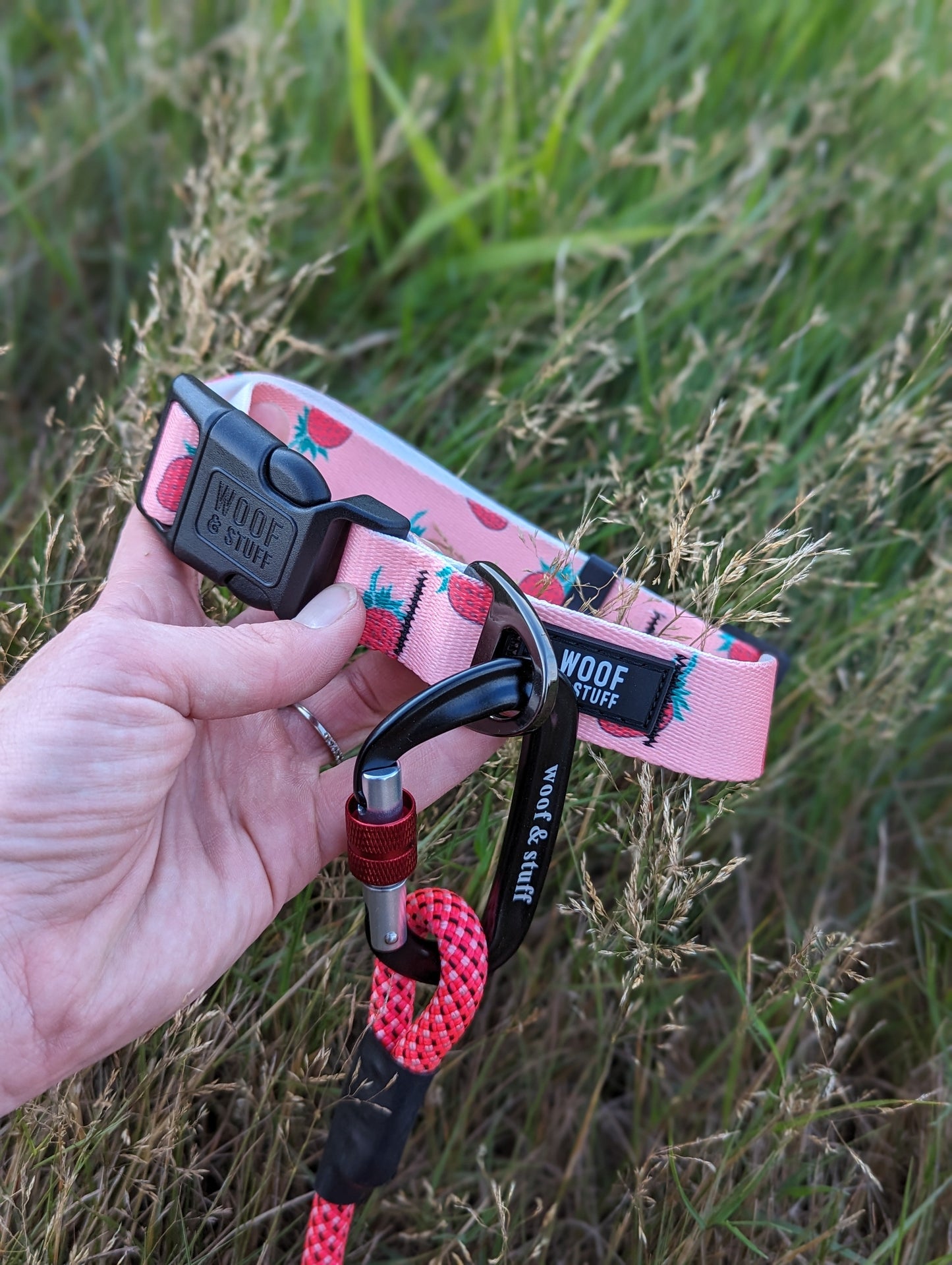 Strawberry Pet Collar