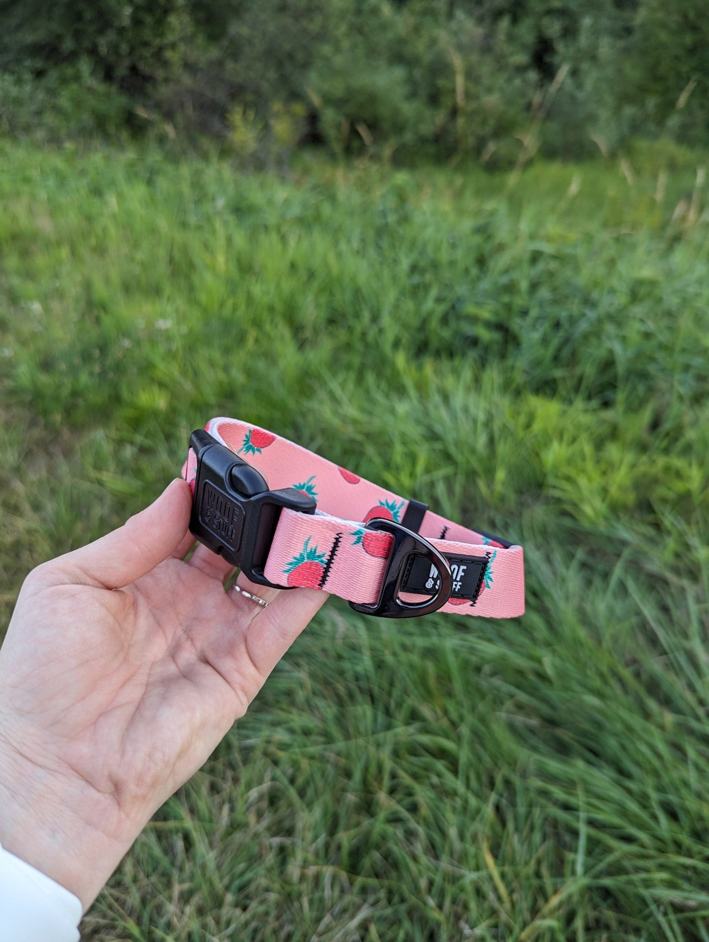 Strawberry Pet Collar