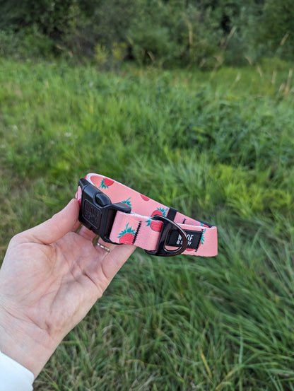 Strawberry Pet Collar