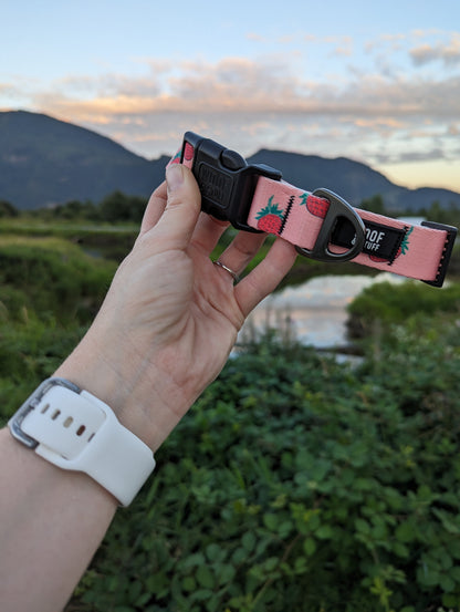 Strawberry Pet Collar