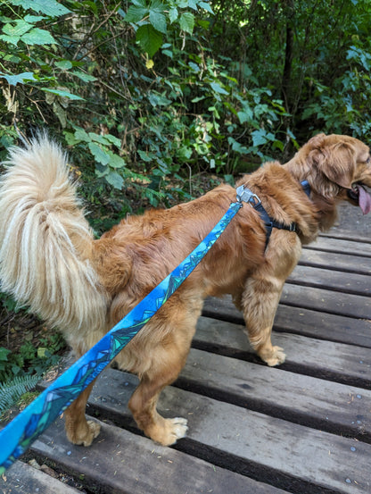 West Coast Waterproof Leash