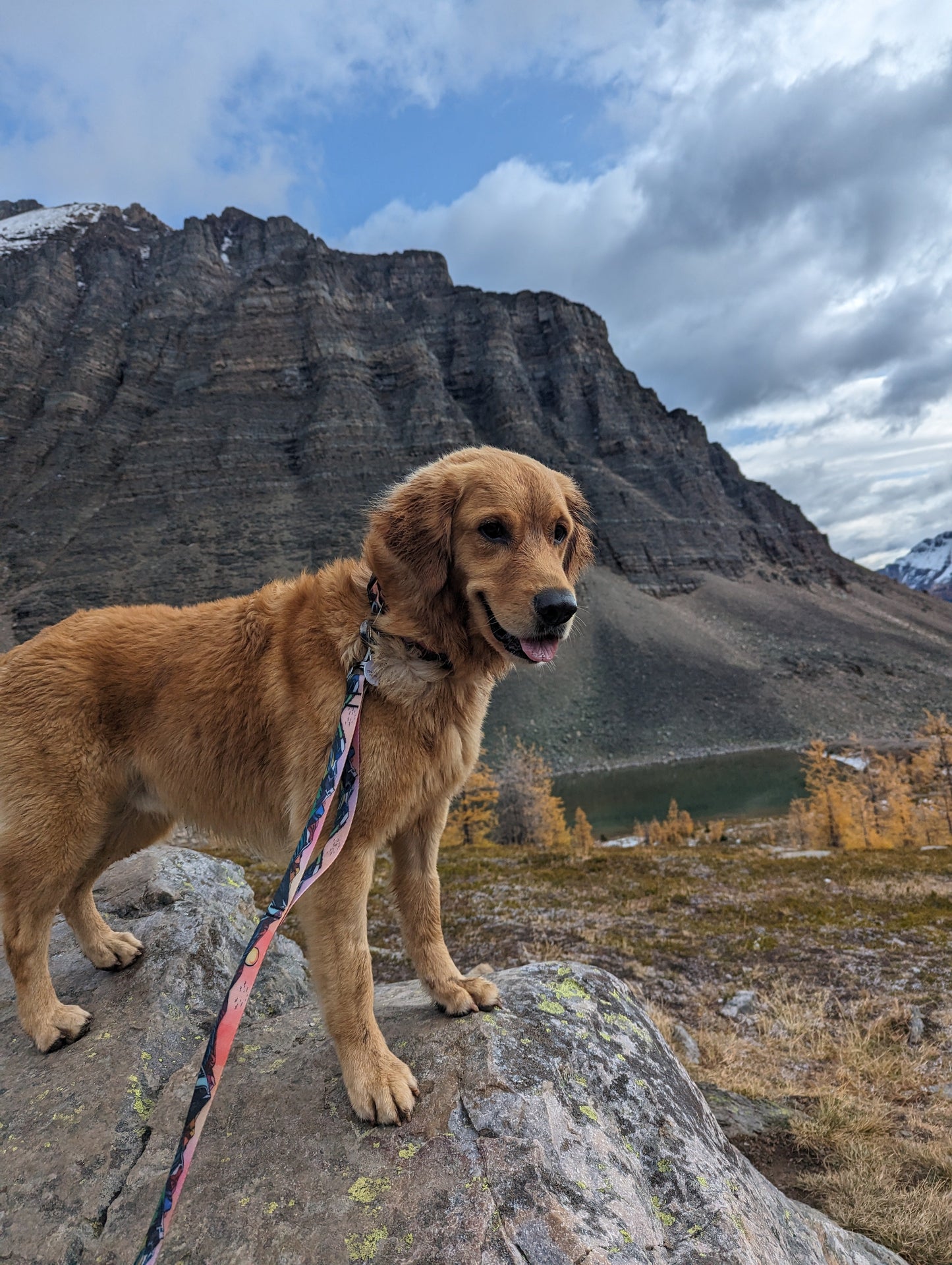 Sunrise Peaks Waterproof Leash
