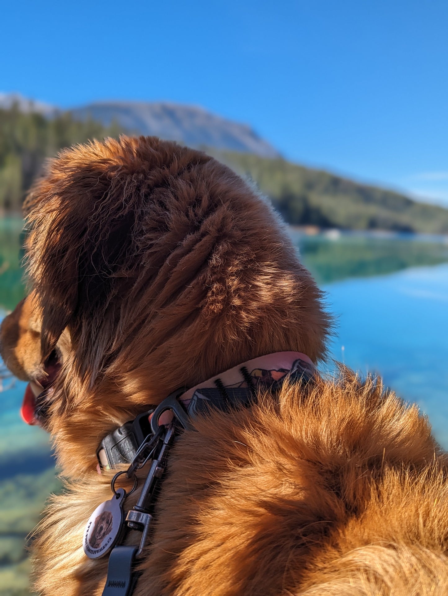 Sunrise Peaks Waterproof Collar