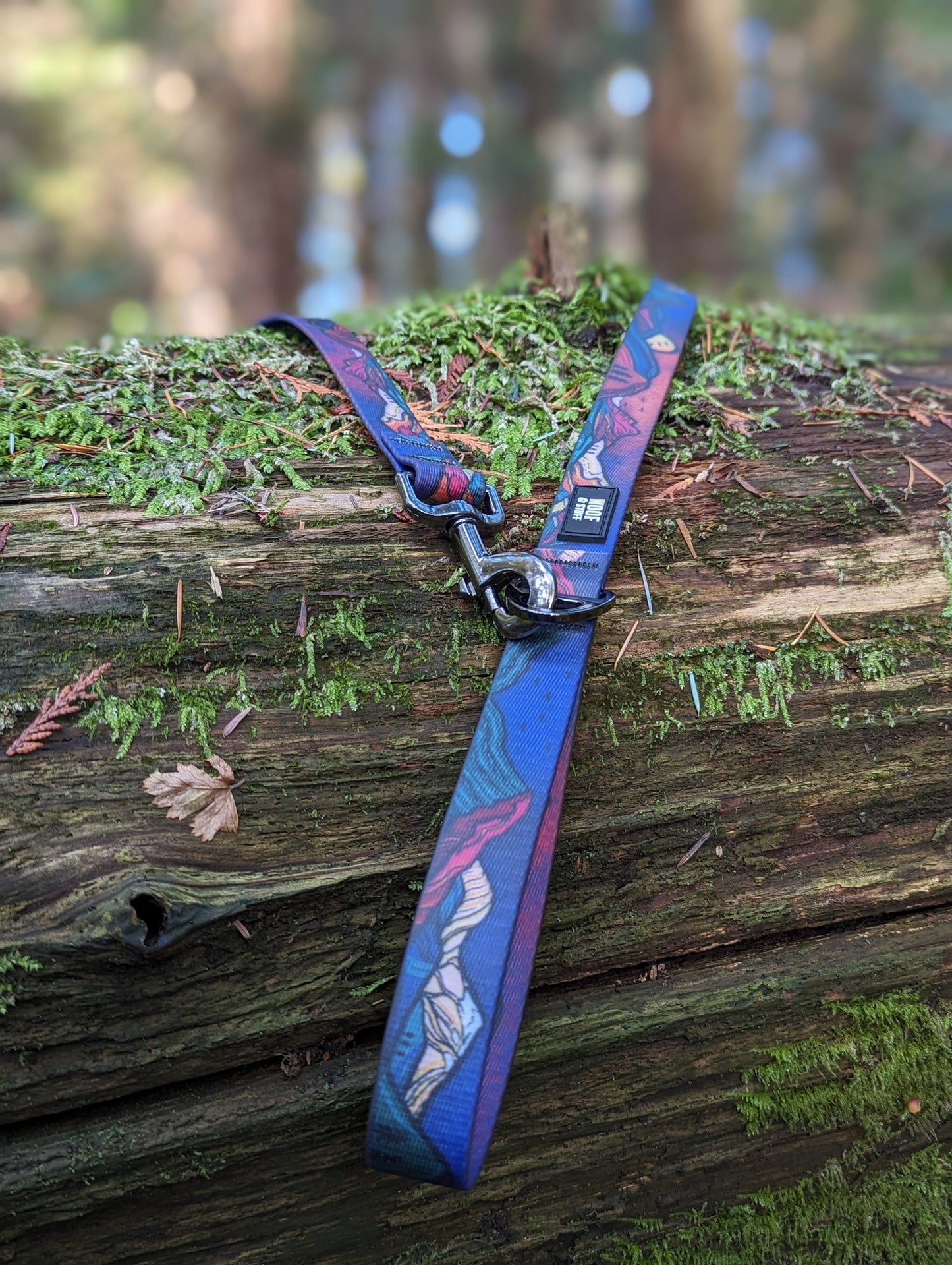 Midnight Sun Waterproof Leash