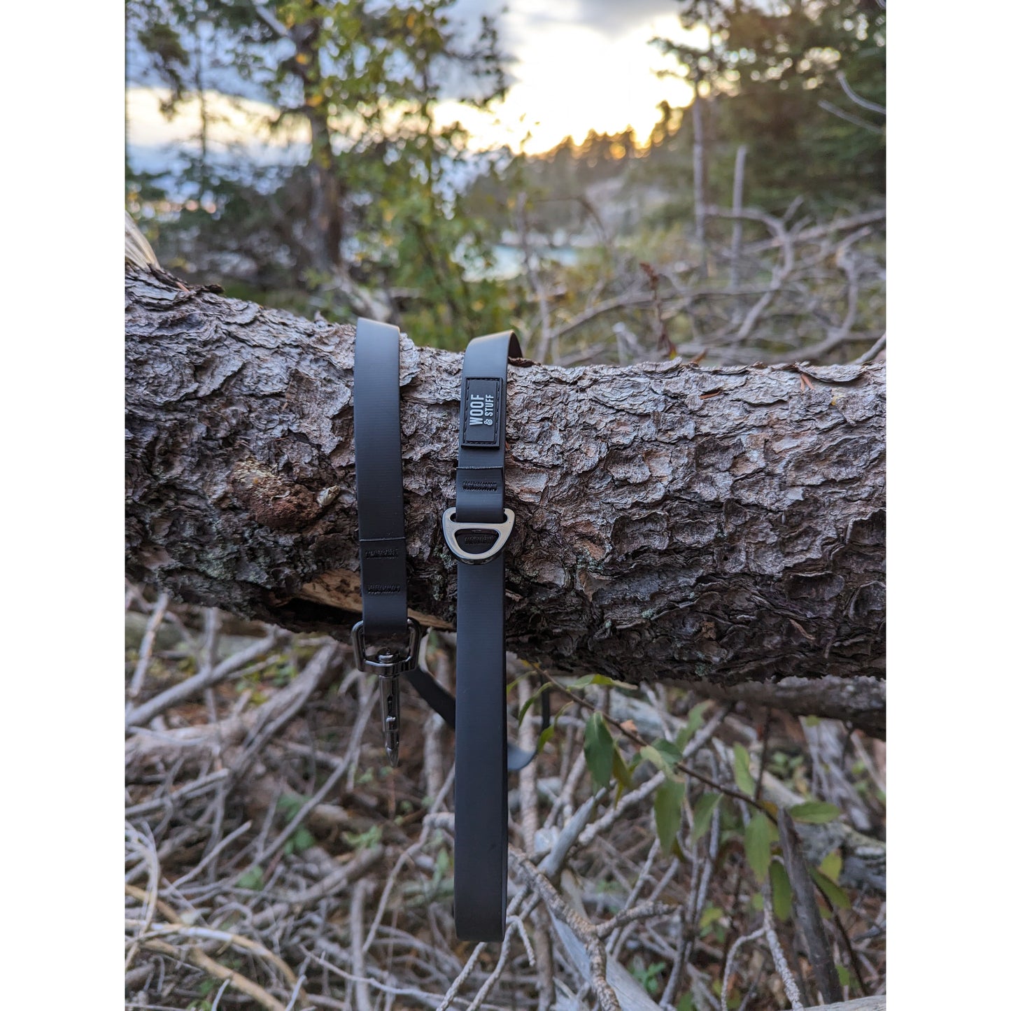 Raven Waterproof Leash