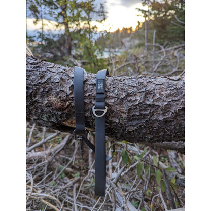 Raven Waterproof Leash