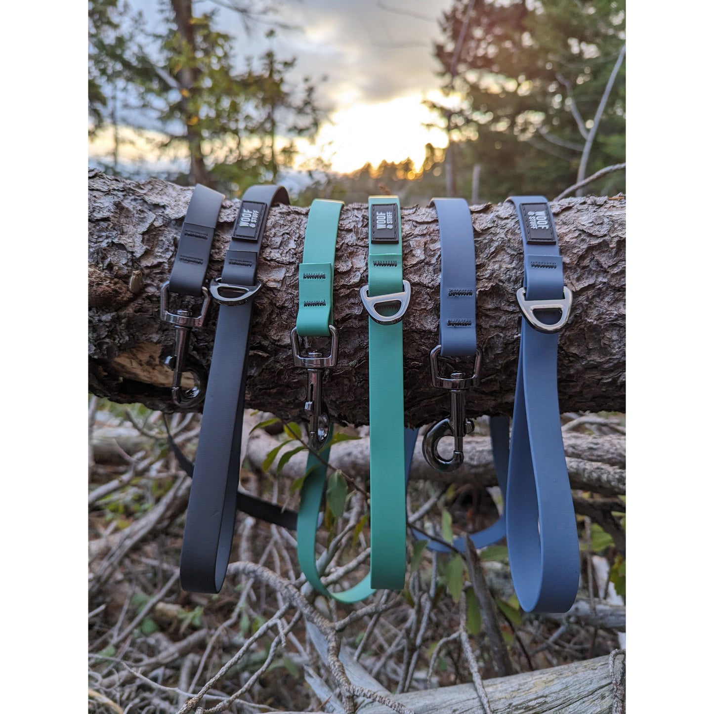 Raven Waterproof Leash