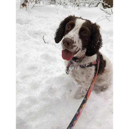 Sunrise Peaks Waterproof Leash