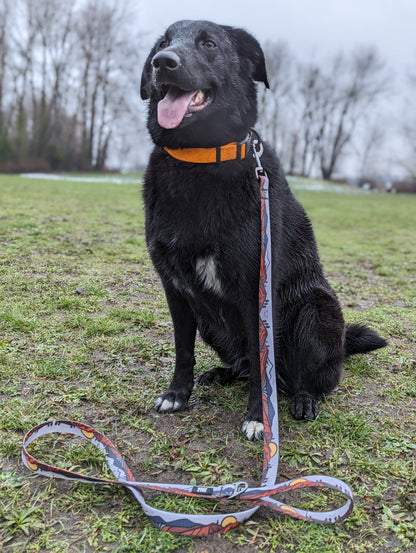 Wanderlust Waterproof Leash