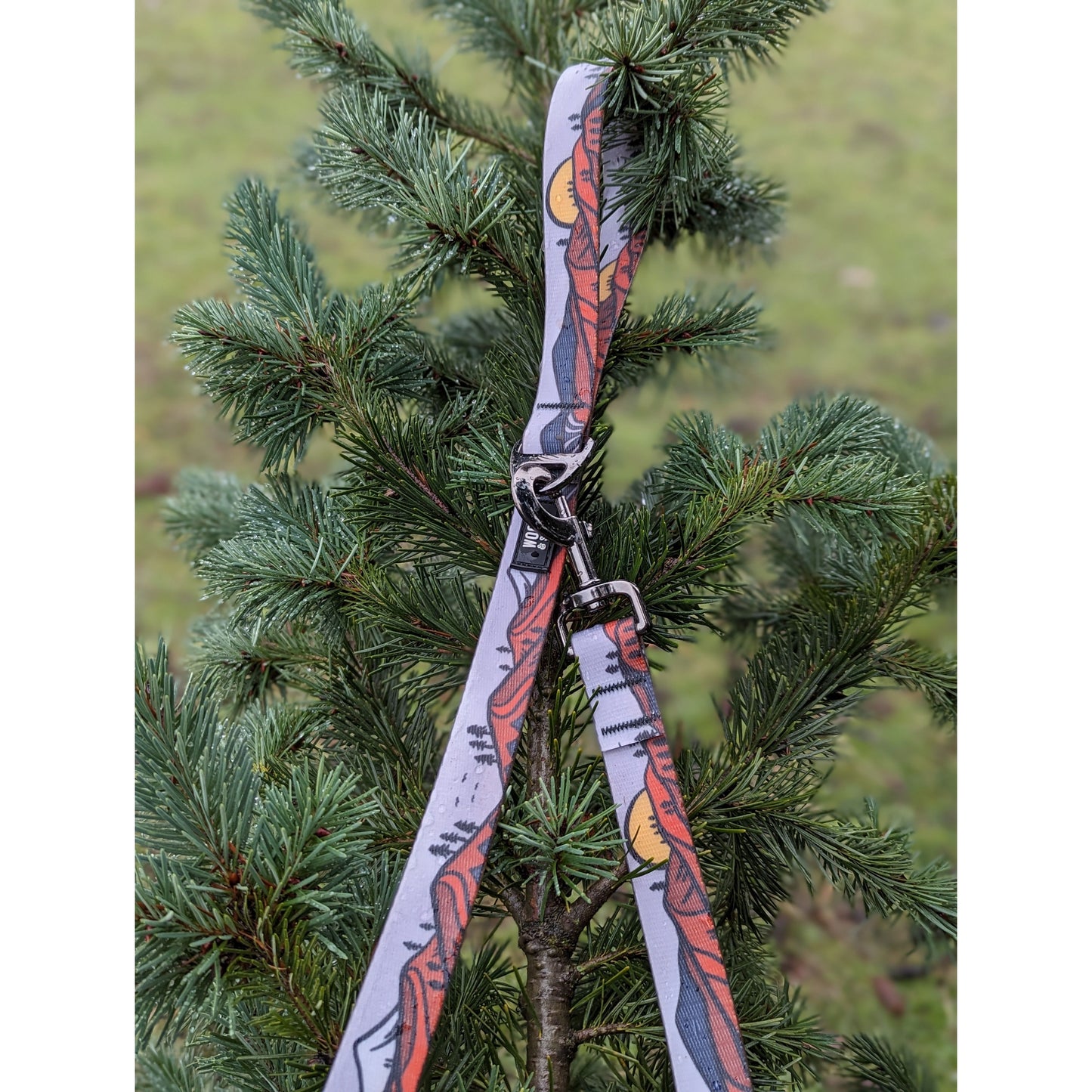 Wanderlust Waterproof Leash