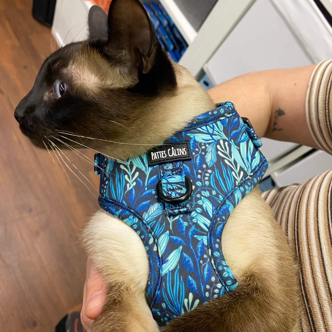 Harnais - Dans la jungle