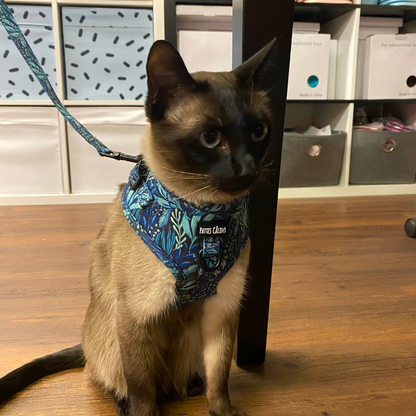 Harnais - Dans la jungle