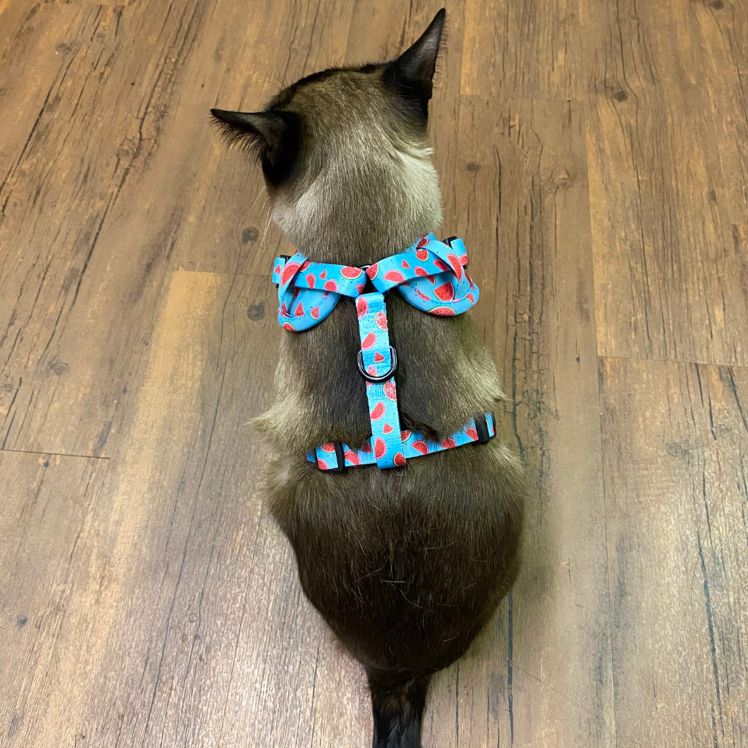 Harness - Watermelon print