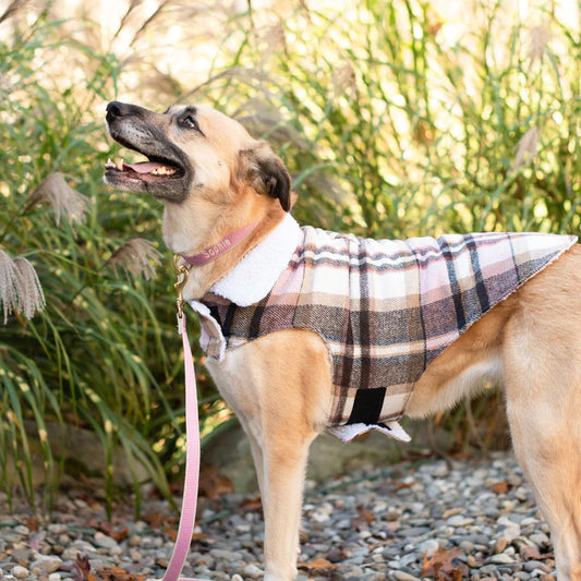 Pink Plaid XL Dog Coat