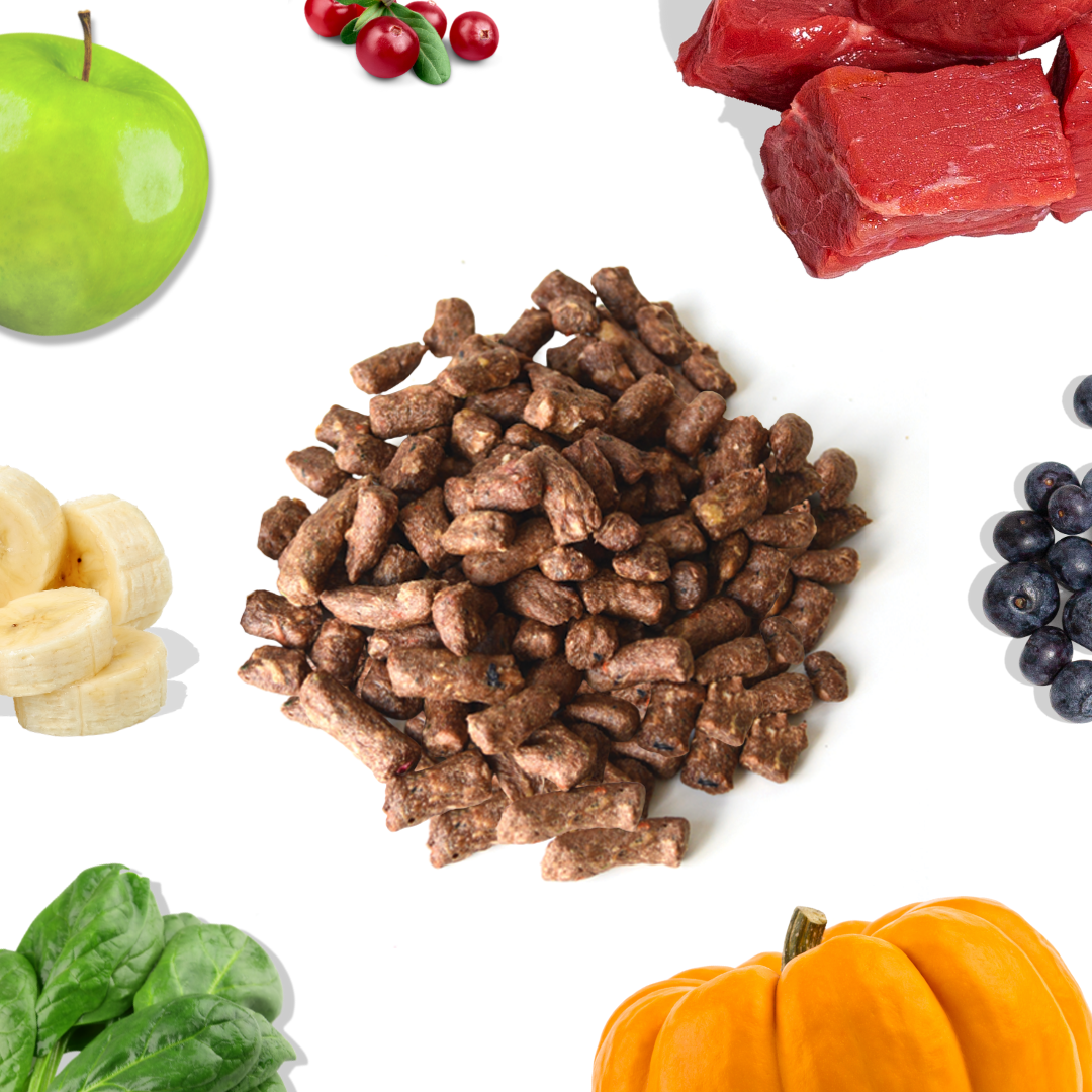 Beef Meal Bites