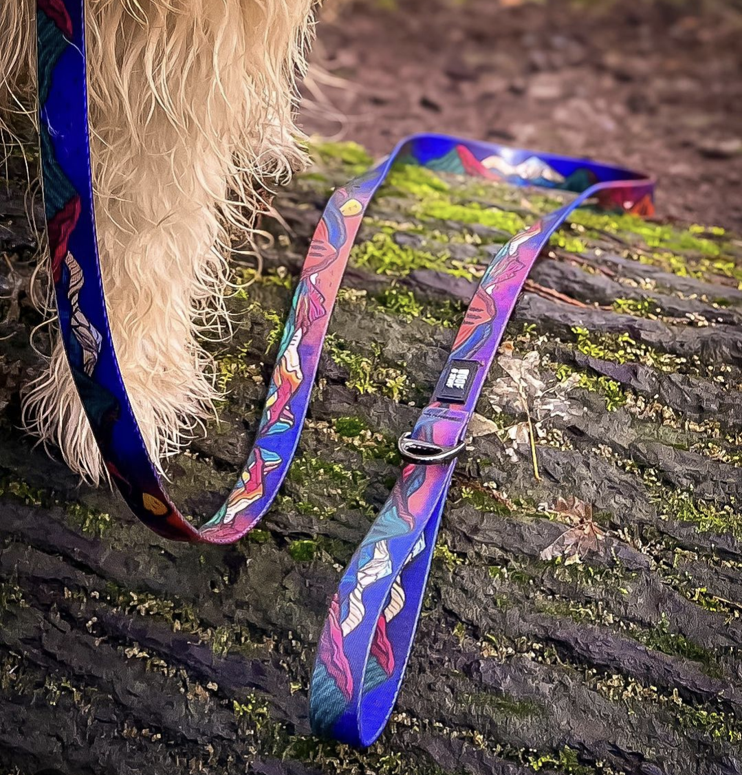 Midnight Sun Waterproof Leash