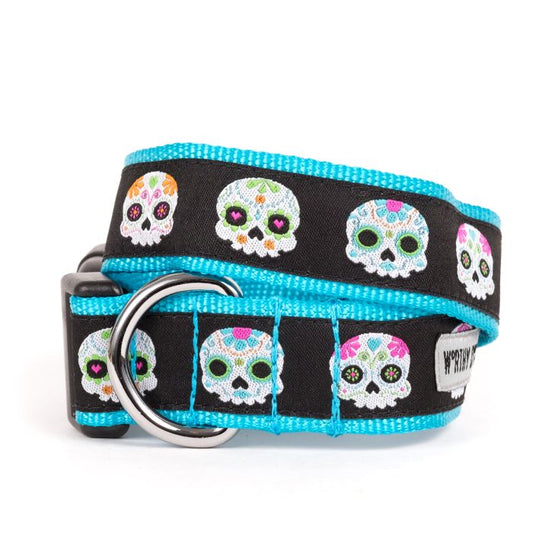 Skeleton Print Cat Collar with Bell