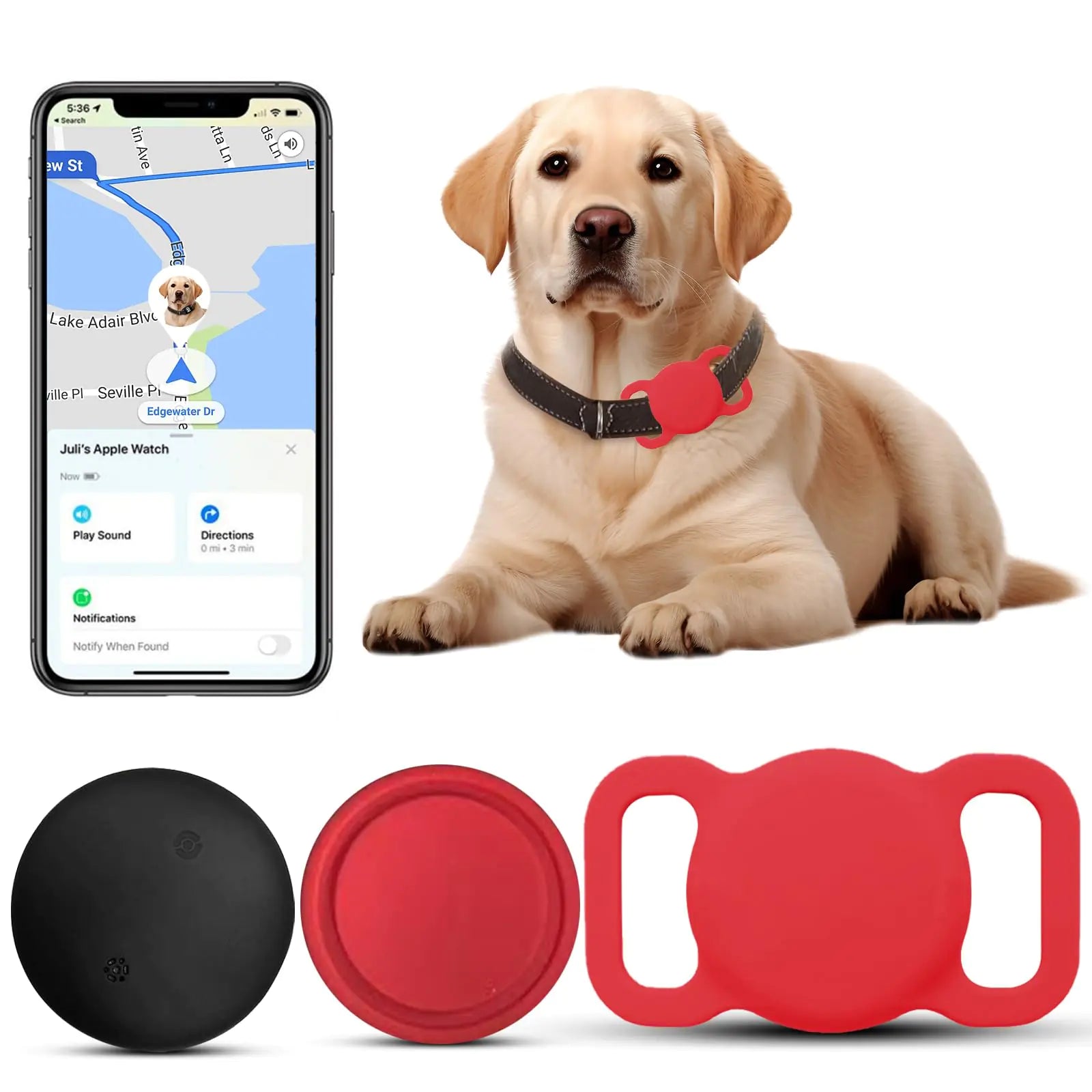 Dog with a red collar and tag, smartphone app, and dog tracking device on a white background
