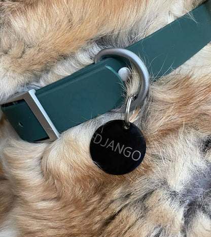 Dog collar with a black tag labeled 'Django' on a close-up of a dog's neck.