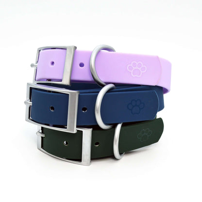 Three dog collars in purple, blue, and green with silver buckles on a white background.
