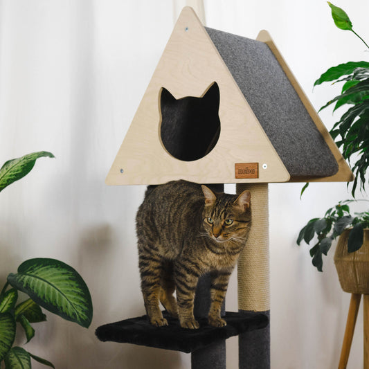 Cat standing on a cat tree with a gray and beige design, surrounded by plants.