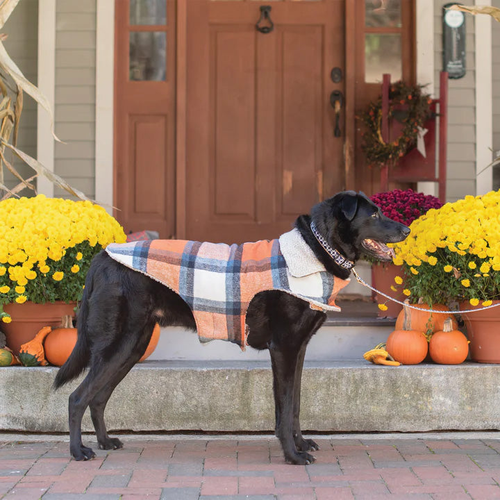 Plaid XL Dog Coat Terra Cotta