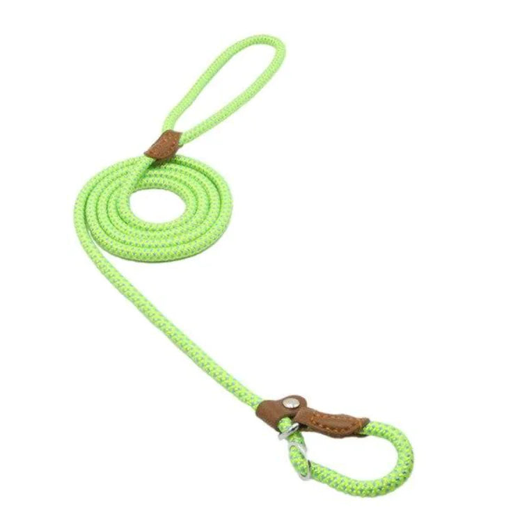 Collar and Leash Set