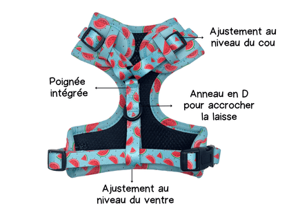 Harness - Watermelon print