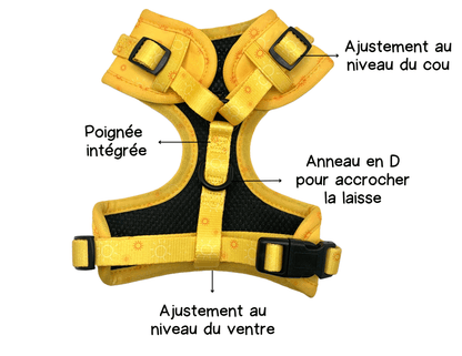 Harnais - Rayons de soleil