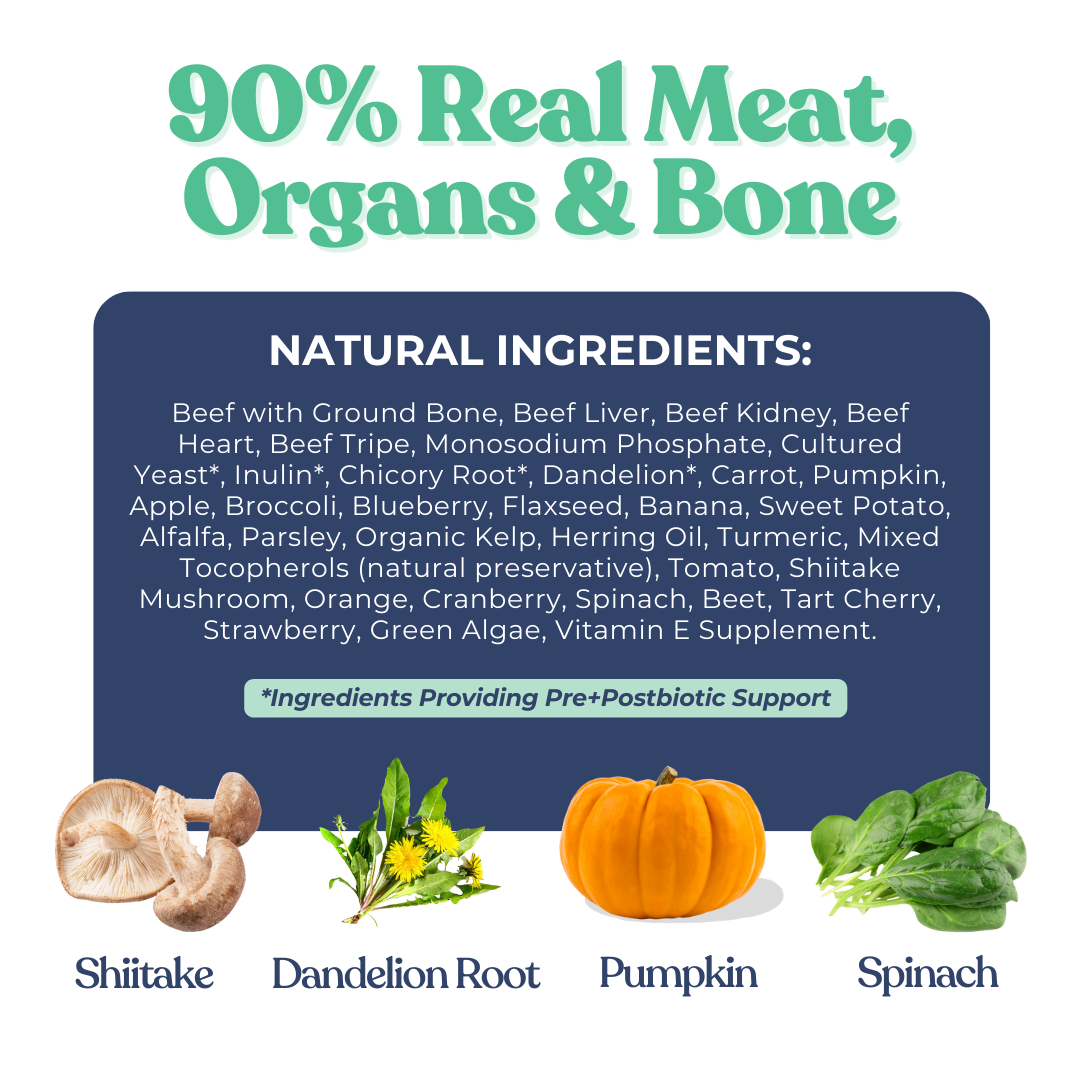 Beef Meal Bites