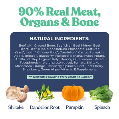 Beef Meal Bites