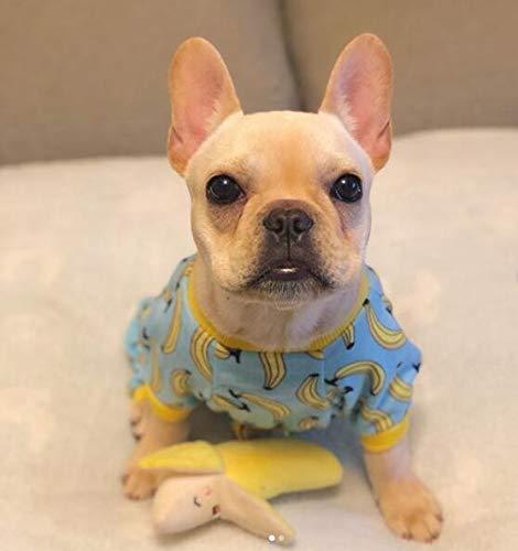 Dog wearing a blue pajama with banana pattern on a white surface
