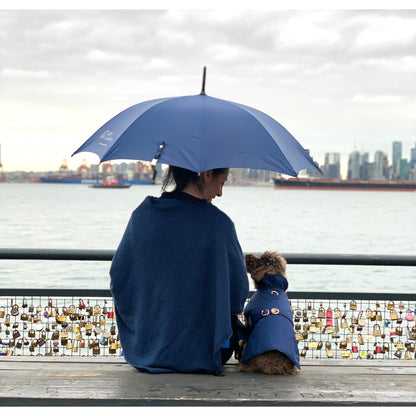 Person and dog sitting under a blue umbrella by a waterfront with a city skyline in the background.