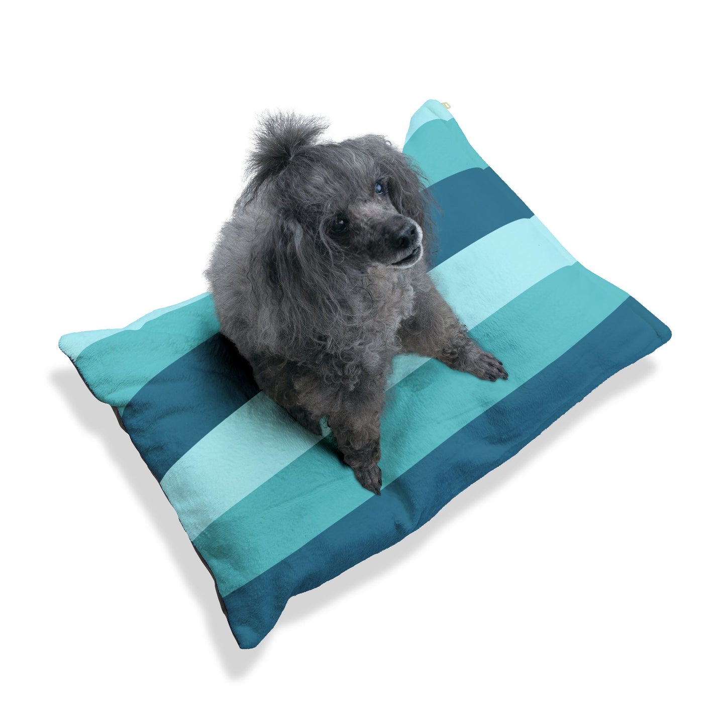 Dog sitting on a blue and green striped pet bed