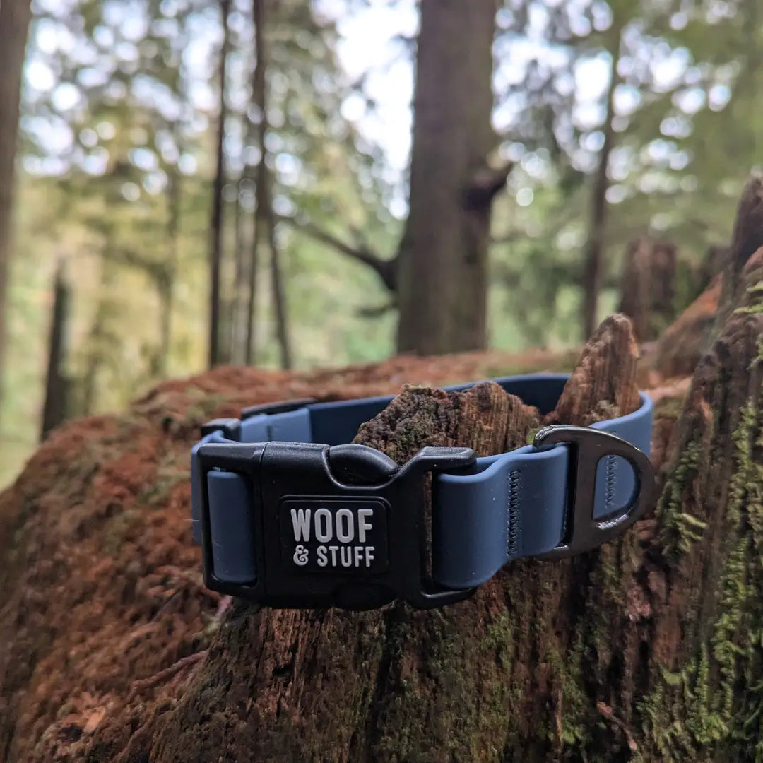 Blueberry Waterproof Collar