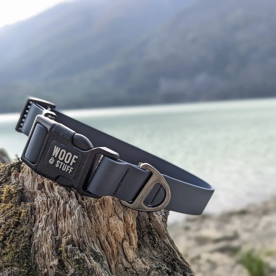 Blueberry Waterproof Collar